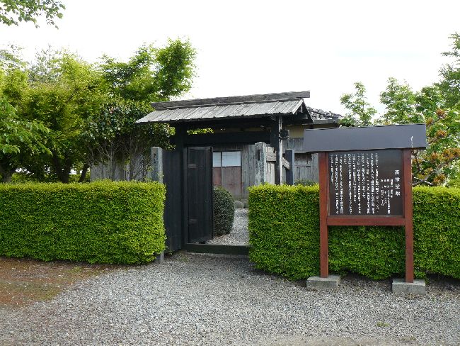 �V�����~