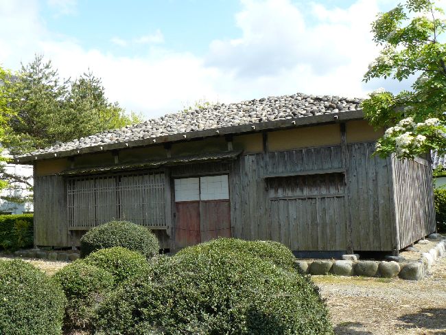 �V�����~