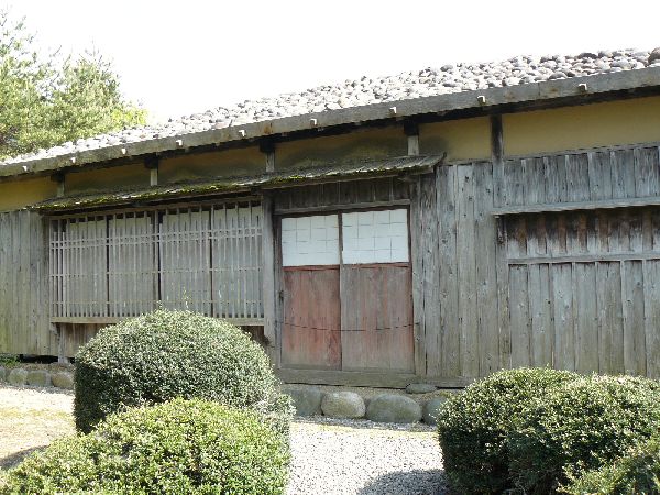 �V�����~