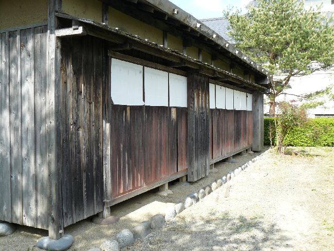 �V�����~