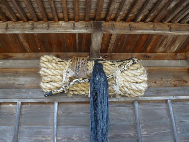 ����t�_�Ёi�o�H�O�R�j�E�ʐ^