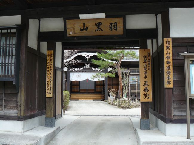 �H���R���P�@�i�o�H�O�R�j�E�ʐ^