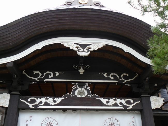 �H���R���P�@�i�o�H�O�R�j�E�ʐ^