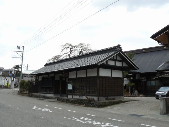 �H���R���P�@�i�o�H�O�R�j�E�ʐ^