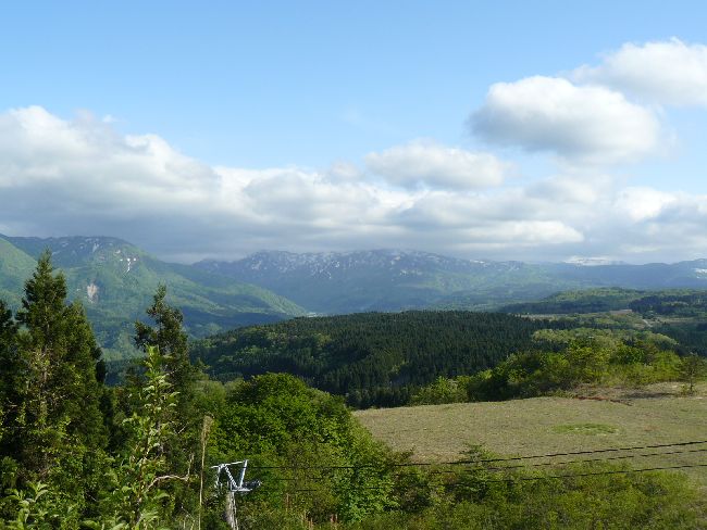 �o�H�O�R�E���R�_�ЁE�ʐ^