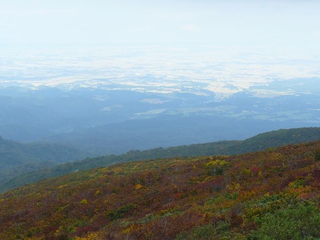 �o�H�O�R�E���R�_�ЁE�ʐ^