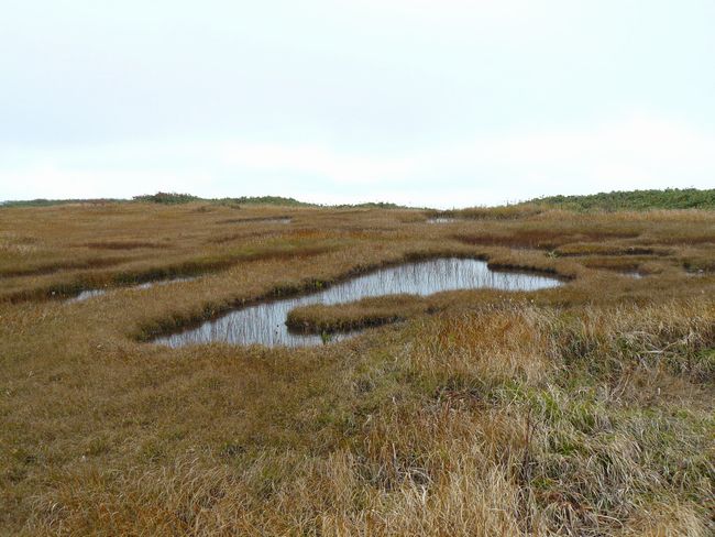 �o�H�O�R�E���R�_�ЁE�ʐ^