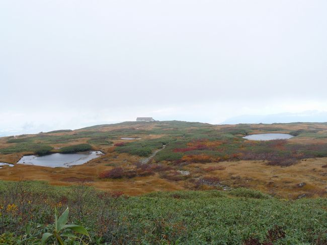 �o�H�O�R�E���R�_�ЁE�ʐ^