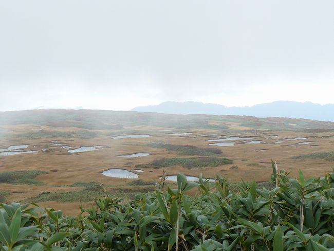 �o�H�O�R�E���R�_�ЁE�ʐ^