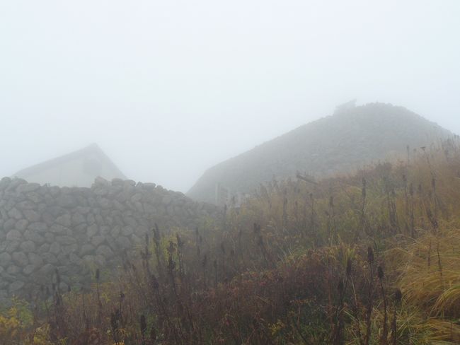 �o�H�O�R�E���R�_�ЁE�ʐ^