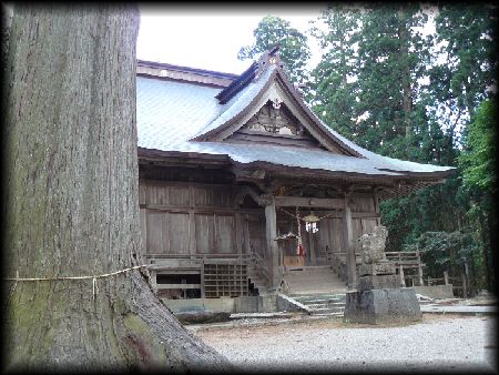 �����_��