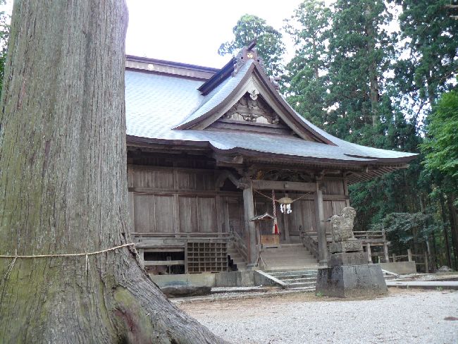 �����_��