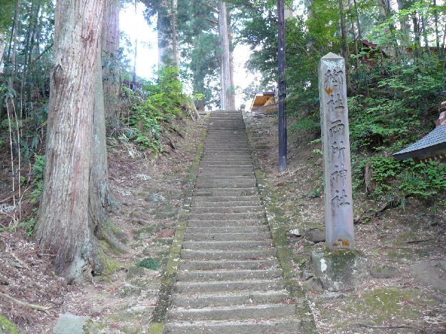 �����_��