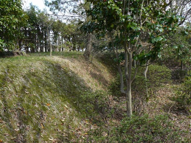 �o�H���R��