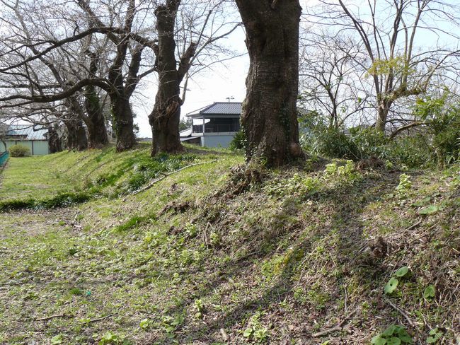 �o�H���R��