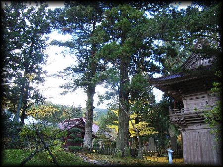 �������̐�