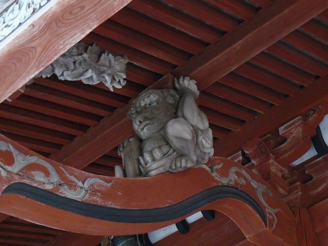 �R���c��_��