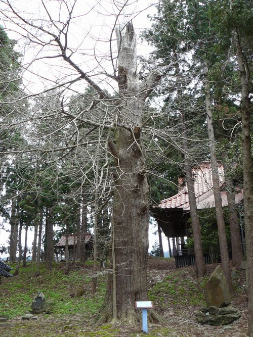 �R���c��_��