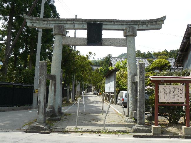 �����_��