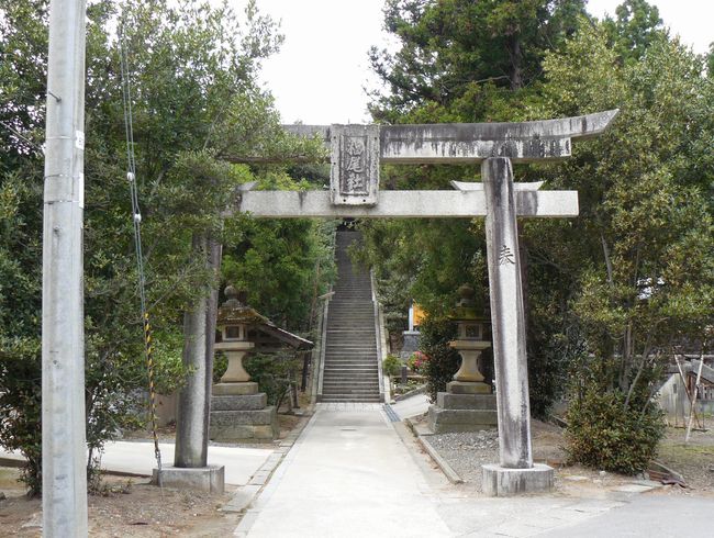 �����_��