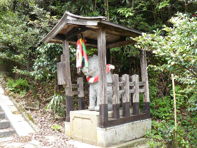 �����_��