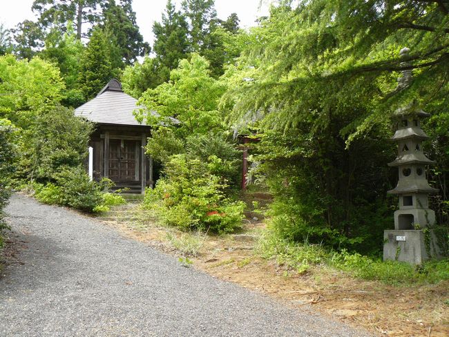 �����_��