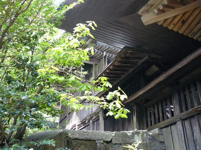 �����_��