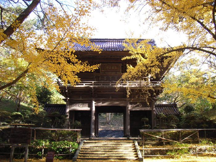 ���}�_��