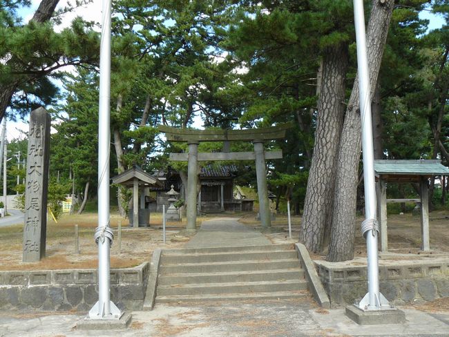 �啨���_��