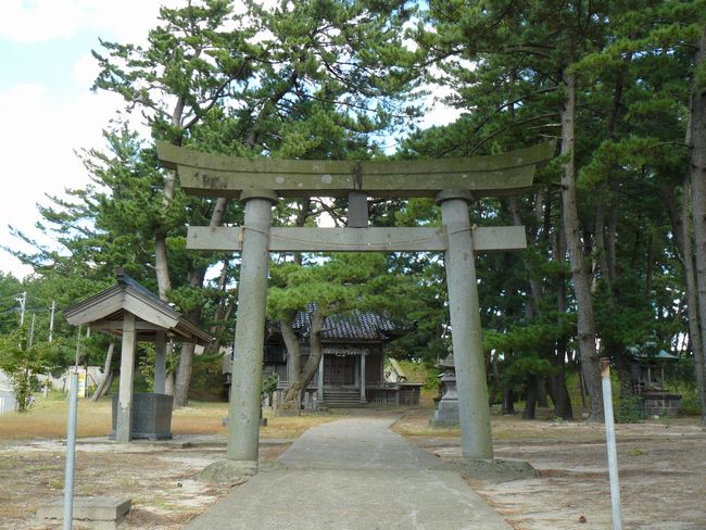 �啨���_��