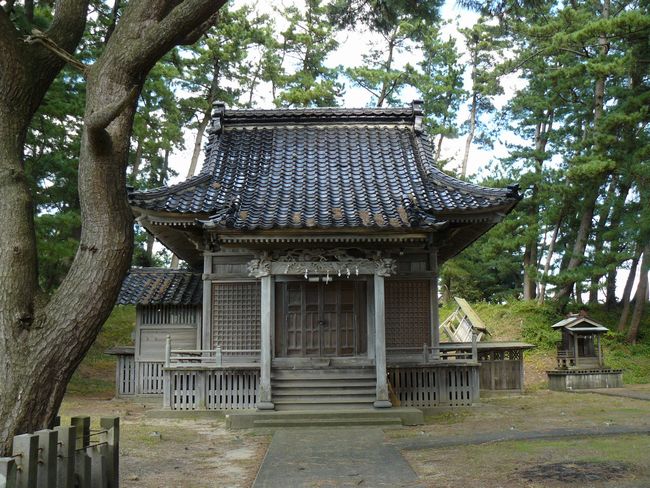 �啨���_��