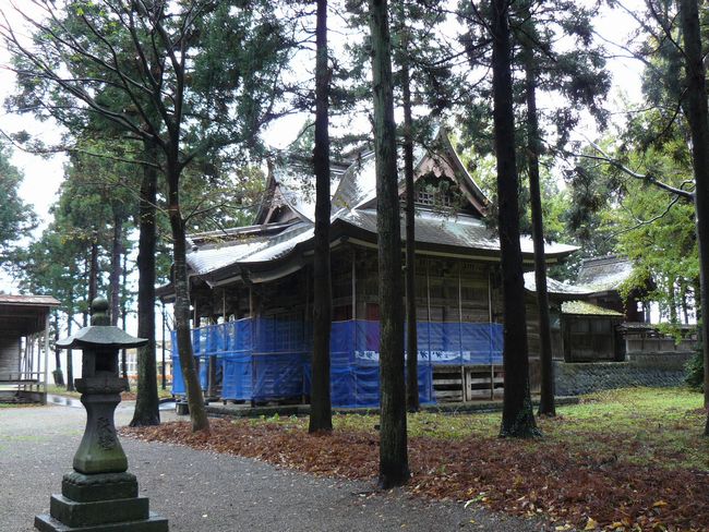 �{�|�啨���_��