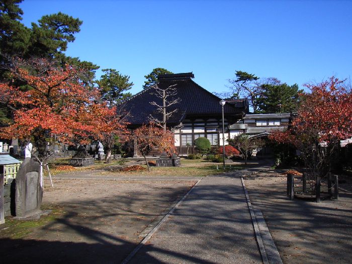 �򗬎��i������_�j