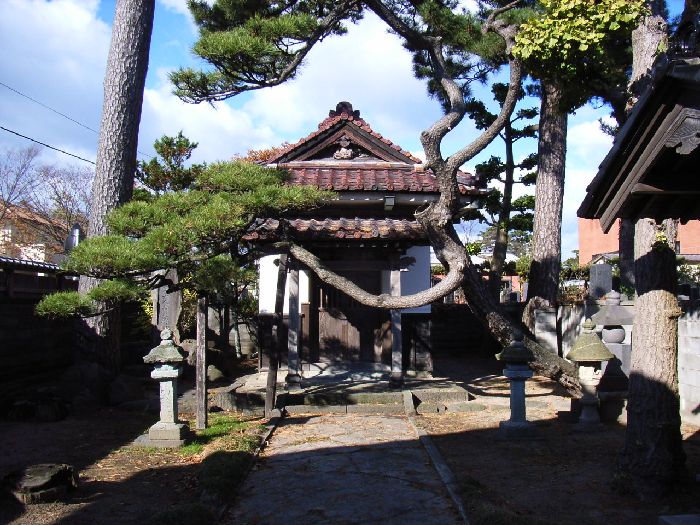 �򗬎��i������_�j