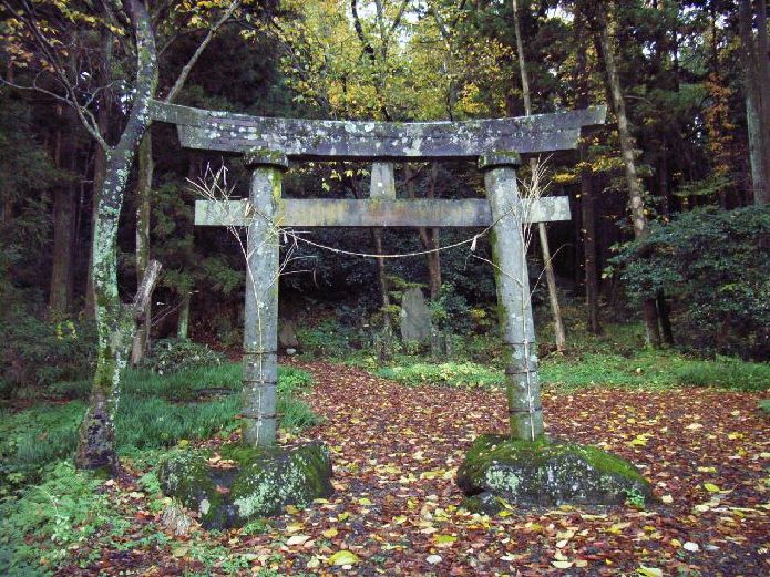 �������_��