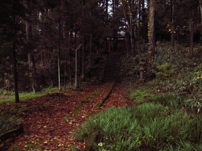 �������_��