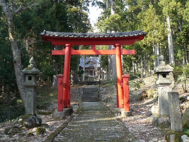 ���V�_��