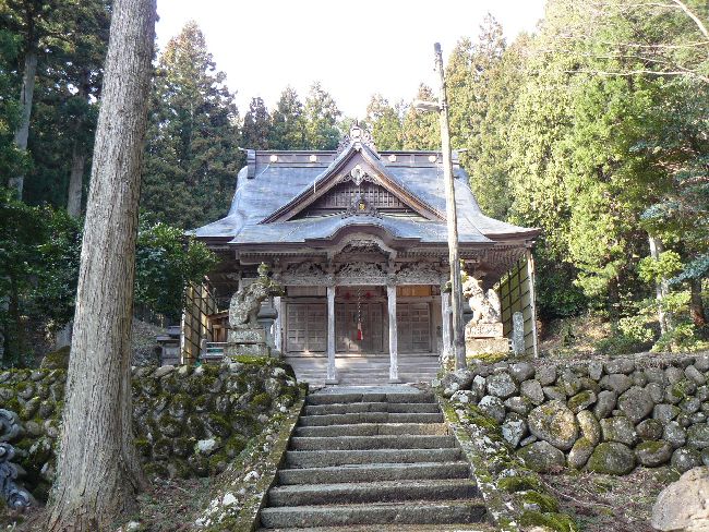 ���V�_��