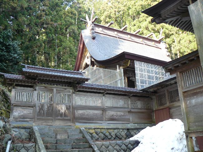 ���V�_��