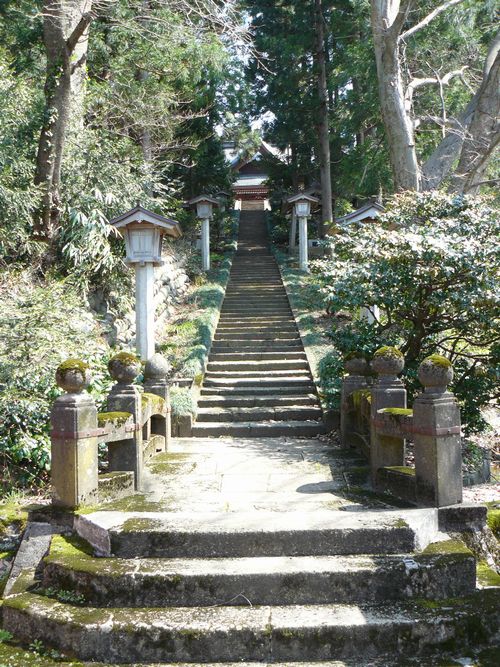 �t���_��