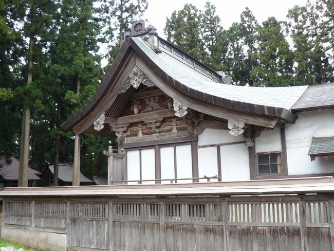 �t���_��