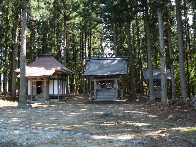 �t���_��