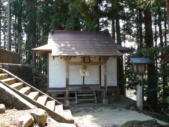 �t���_��