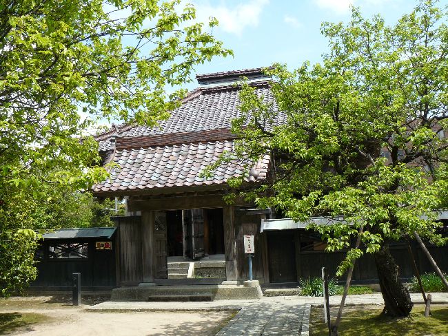 ���v����