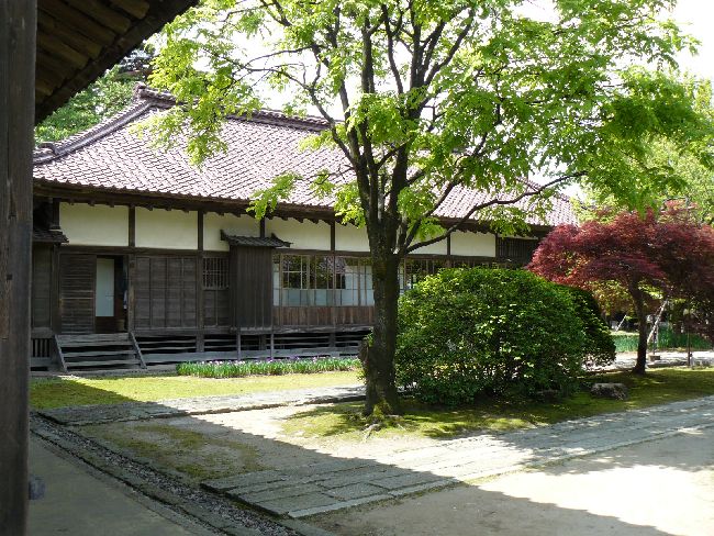 ���v����