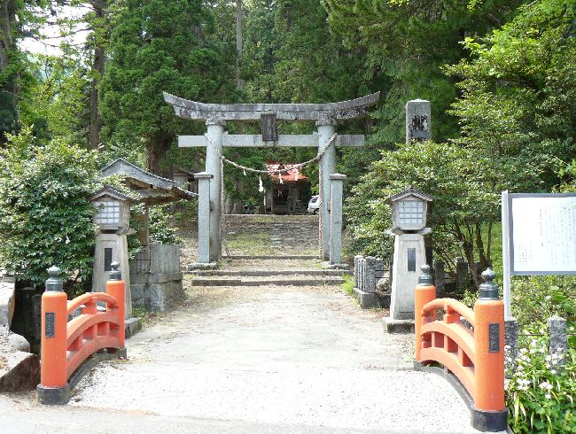 �����_��