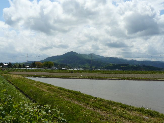 �����_��