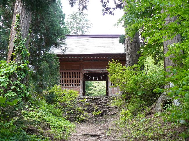 �����_��