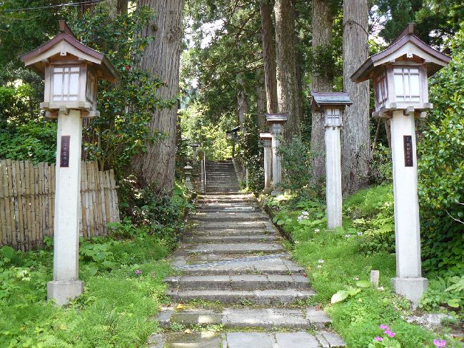 �����_��