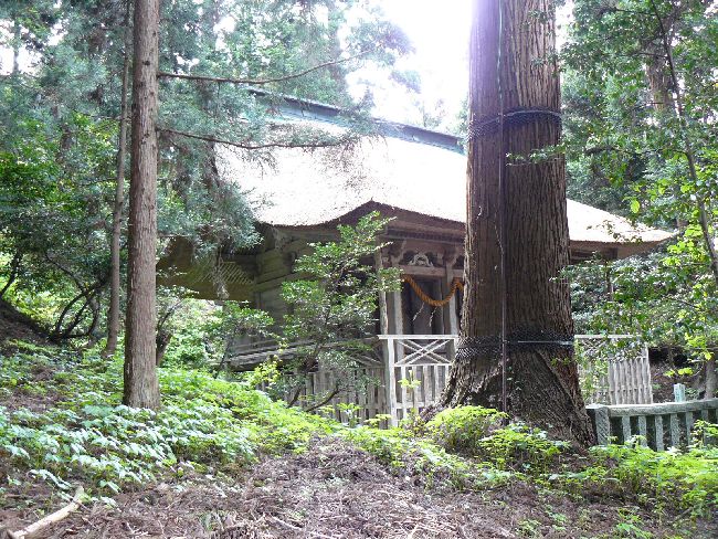 ���㔪���_��